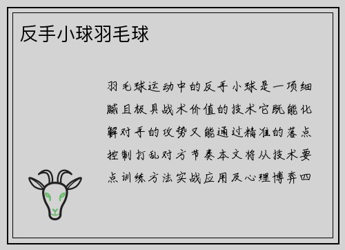 反手小球羽毛球